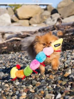 Peluche pour chien - Milles Pattes 7 squeakers - Zippy Paws