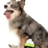 Peluche pour chien - Monster Brew édition Halloween - FuzzYard