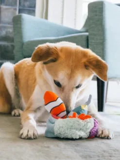 Peluche pour chien - Ocean Buddies Corail 🪸 - Pet PLAY
