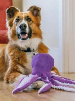 Peluche pour chien - Ocean Buddies Pieuvre 🐙 - Pet PLAY