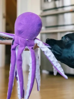 Peluche pour chien - Ocean Buddies Pieuvre 🐙 - Pet PLAY