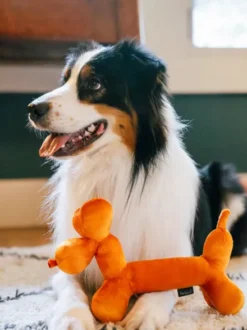 Peluche pour chien - Party Animals 🥳 Ballon chien - Pet PLAY