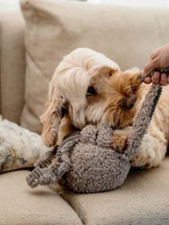 Peluche pour chien - Pieuvre Rose - District 70
