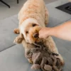Peluche pour chien - Pieuvre Taupe - District 70