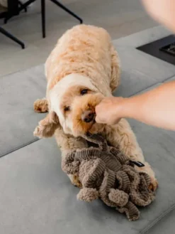 Peluche pour chien - Pieuvre Taupe - District 70