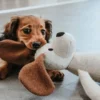 Peluche pour chien sans couineur - Chien 🐶 - Hunter