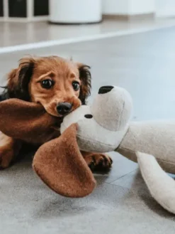 Peluche pour chien sans couineur - Chien 🐶 - Hunter