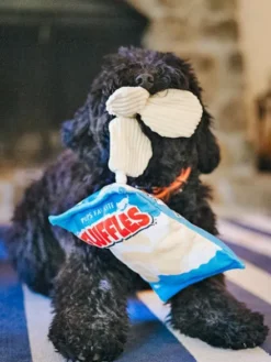 Peluche pour chien Snack Attack - Chips 🍠 - Pet PLAY