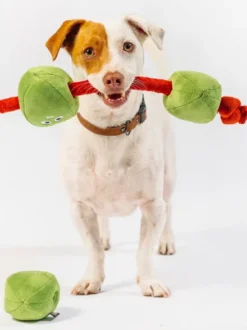 Peluche pour chien - Wine Bar Olives 🫒 - Pet PLAY