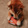 Peluche pour chien - Workout Plus 2en1 👟 - Reebok x Zee.dog