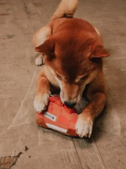 Peluche pour chien - Workout Plus 2en1 👟 - Reebok x Zee.dog