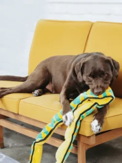 Peluche résistante pour chien - Invicibles Snake XXL - Outward Hound