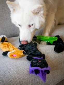 3 Peluches d'Halloween pour chien - Zippy Paws- Halloween Skinny Peltz