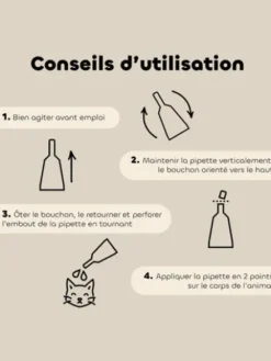 Pipettes insectifuges Bio - Chat et Chaton - 3+1 offerte