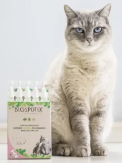 Pipettes insectifuges Biospotix pour chat et chaton - 5 pipettes - Biogance