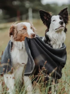 Plaid couverture XL pour chien - Gris anthracite - Hunter