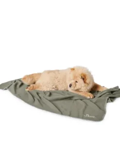 Plaid couverture XL pour chien - Vert - Hunter