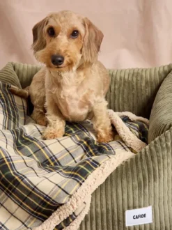 Plaid pour chien - Tartan beige et sherpa - Cafide