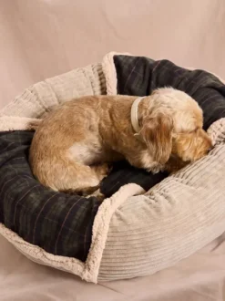 Plaid pour chien - Tartan vert et sherpa - Cafide