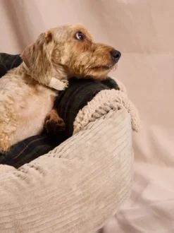 Plaid pour chien - Tartan vert et sherpa - Cafide