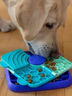 Plateau d'enrichissement pour chien - Lick n' Flip - Outward Hound