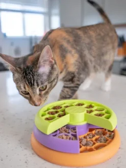 Plateau d'enrichissement pour chaton - Kitty Lickin' Layers