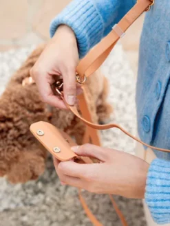 Pochette à friandises pour chien en silicone - Chai - Shop Sunny Tails