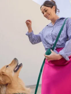 Pochette à friandises pour chien en silicone - Vert Forêt - Shop Sunny Tails