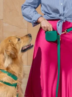 Pochette à friandises pour chien en silicone - Vert Forêt - Shop Sunny Tails