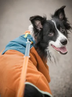 Polaire pour chien - Alpha 360 Fleece Pullover Terracotta Mix - Woolly Wolf