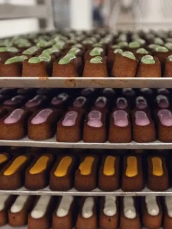 Pâtisserie pour chien - Le Moelleux Sérénité - Delamour