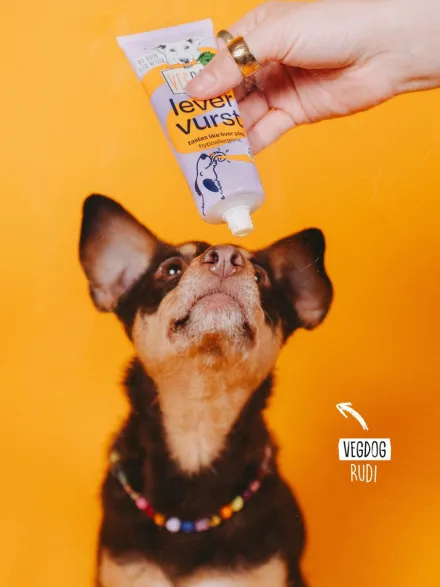 Pâté Vegan en tube pour chien - Vegdog