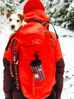 Sac à friandises pour chien motif Polar Night - Woolly Wolf