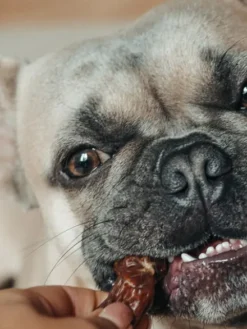 Saucisses Agneau et Ortie pour Chien - Boost immunitaire