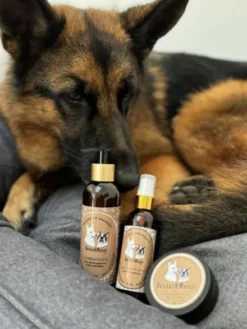 Shampoing anti-démangeaison - Le Miraculeux - Dexter & Mango