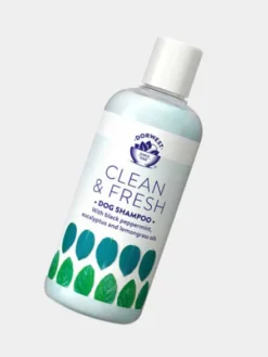 Shampoing Antiparasitaire Clean & Fresh pour chien et chat - Dorwest
