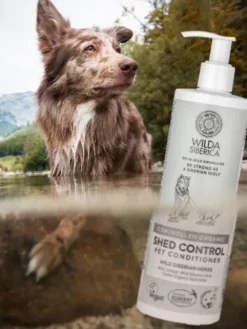 Shampoing bio pour chien et chat - Contrôle de la mue - Wilda Siberica