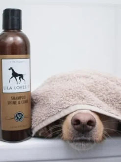 Shampoing pour chien à peau sensible