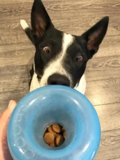 Snoop Orbee-Tuff pour chien - jouet interactif distributeur de friandises
