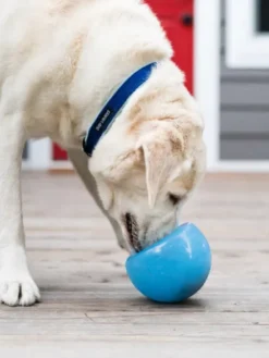 Snoop Orbee-Tuff pour chien - jouet interactif distributeur de friandises