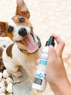 Soin dentaire pour chien en spray - Dentifresh 🦷 - Biogance
