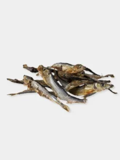 Sprats de la Baltique (poissons séchés) pour chien - Icepaw