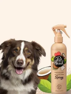 Spray sans rinçage pour chien sensible - Noix de Coco 🥥