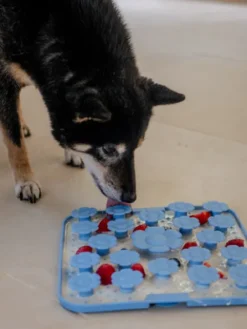 Tapis de fouille et de léchage pour chien - Daisy Mat 🌼 Sky - inooko