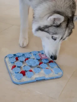 Tapis de fouille et de léchage pour chien - Daisy Mat 🌼 Sky - inooko