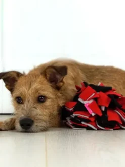 Tapis de fouille pour chien - Sniffing Ball - Rouge