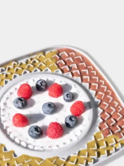 Tapis de léchage 🍽️😋 pour chien et chat - YoomY Plate - Gris - inooko