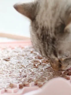 Tapis de léchage pour chien et chat - Yoomy Mat - Gris