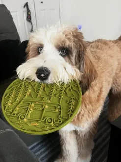 Tapis de léchage pour chien et chat - Evasion (2 coloris) - SodaPup