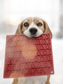 Tapis de léchage pour chien et chat - Sapin rouge 🎄 - SodaPup